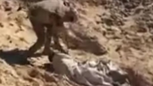 صورة ماخوذة من مقطع الفيديو