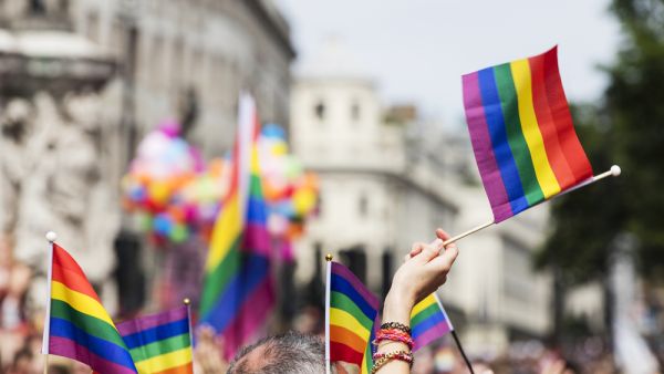 A spectator waves a gay rainbow flag at an LGBT Gay Pride march in London. (Shutterstock/ File Photo)
