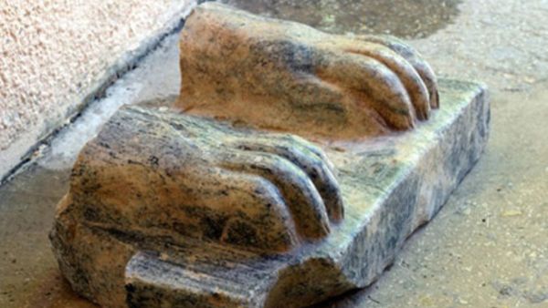  أبو الهول في إسرائيل!