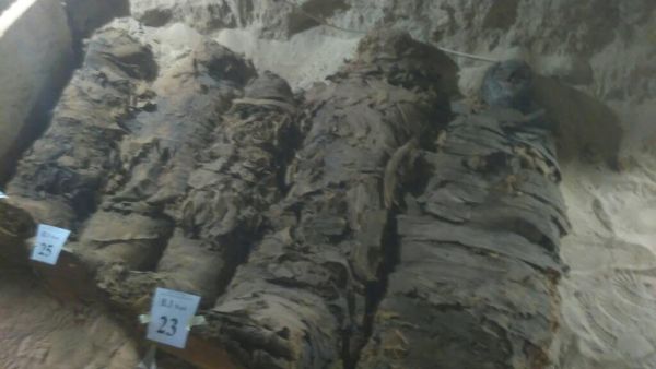 اكتشاف أول مقبرة للأحياء في تاريخ مصر الوسطى تضم 28 مومياء