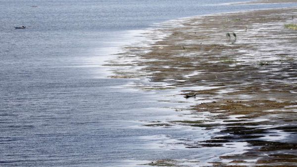 الحجر النوبي يمتد تحت 4 دول ويعد الأكبر على مستوى العالم