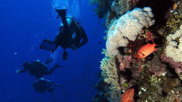 Tiran and Sanafir are hot spots for both Egyptian and foreign scuba diving hobbyists. (Flickr/Derek Keats) Tiran and Sanafir are hot spots for both Egyptian and foreign scuba diving hobbyists. (Flickr/Derek Keats)