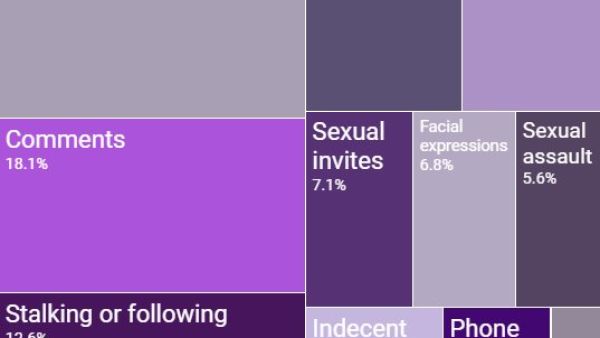 The most common types of sexual harassment in Egypt (Harassmap)