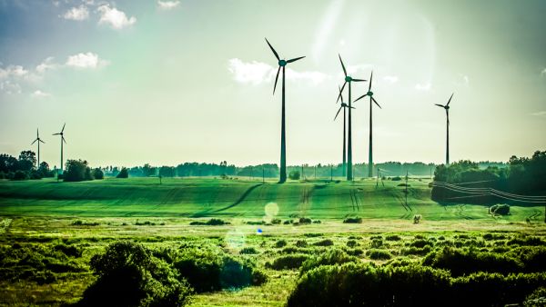 Saad said he expects to recoup half of his initial investment in his power station in Minya in about four months. (shutterstock)