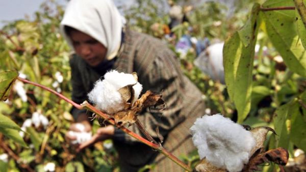 Only non-married women, widows, and divorcees are allowed to live in the village (AFP/File)