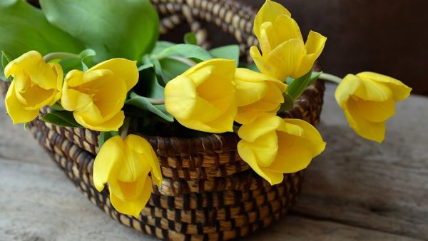 A basket of flowers, not those pictured on the poster (Pixabay)