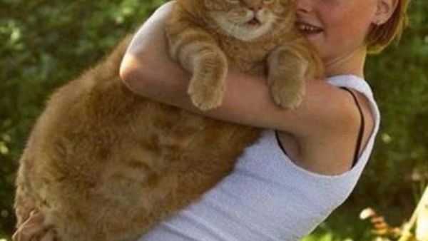 هذا بس ولا عجل!