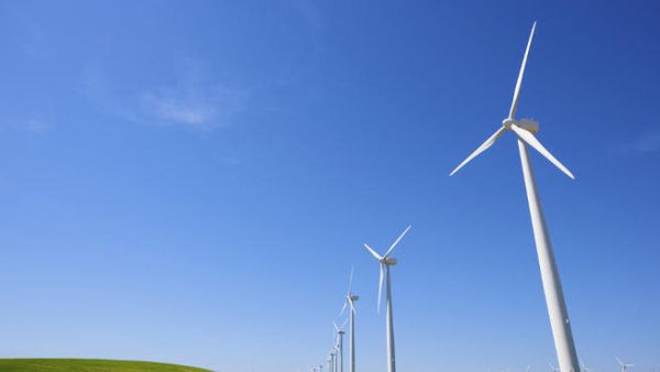 Do energy subsidies stifle innovation and hurt society in the long run?