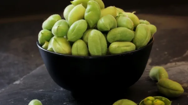 الحمّص الأخضر ينشط المخ والأعصاب
