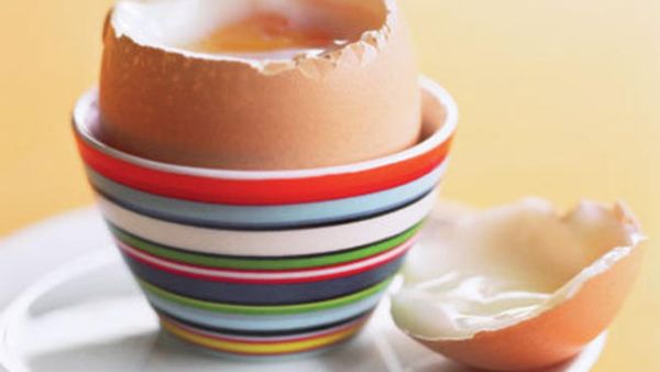 البيض وجبة صحية متكاملة للجميع