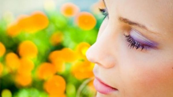 ربيع هادئ بظلال حيوية