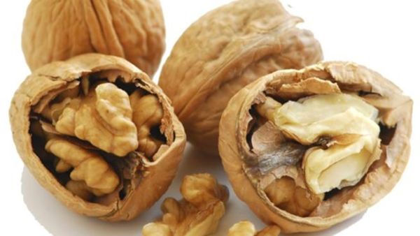 الجوز يحمي الرجال والنساء من الاصابة بالامراض، خصوصا مرض السكري
