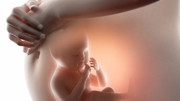 غالبا ما تظهر عيوب في الدماغ والقلب ومشاكل العمود الفقري 