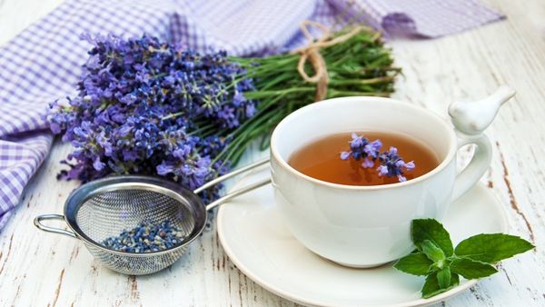 رائحة اللافندر لها تأثير مهدئ على الناس الذين يعانون من القلق والاكتئاب