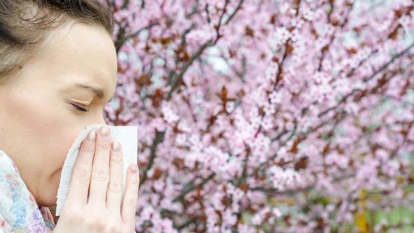 تعتبر الحساسية من الأمراض المزعجة جداً التي تصيب الإنسان 