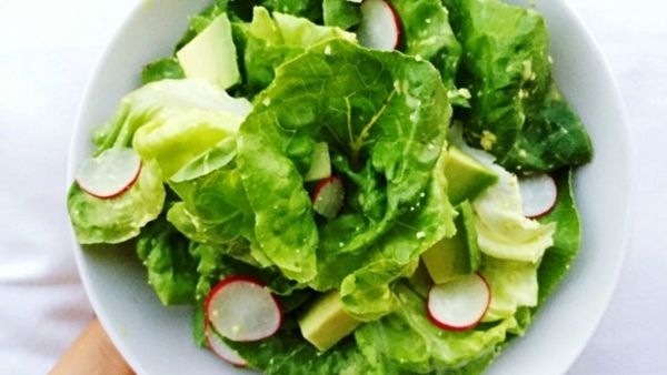 عصارة الأوراق التالفة تعزز نمو التسمم الغذائي