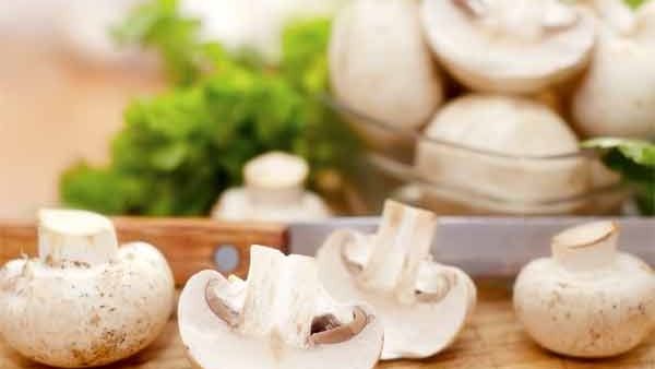 ركز الباحثون على نشاط المكونات البيولوجية للفطر