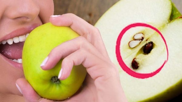التفاح مفيد ولكن ماذا عن بذوره؟