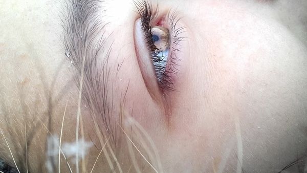 لحواجب كثيفة استخدمي زيت طبيعي 