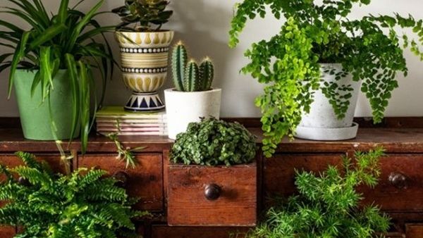 لست بحاجة الى المساحة أنت بحاجة الى الافكار الابداعية