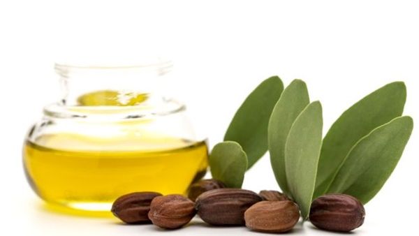 ملطف الزيوت الطبيعية للشعر