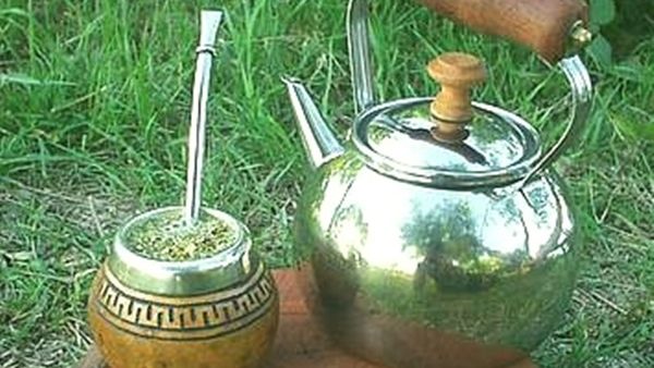 شاي المته وفوائد عديدة