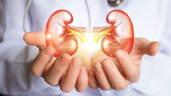 حصى الكلى متعبة ومؤلمة تعلم كيف تتخلص منها