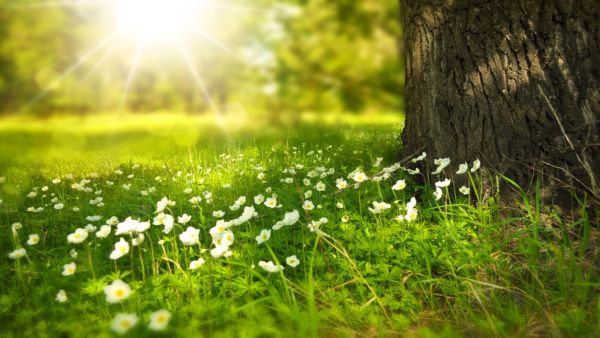 كيف يتم علاج الحساسية؟
