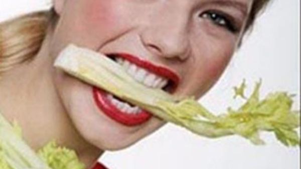 نبات الكرفس 