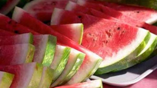 شرائح البطيخ 