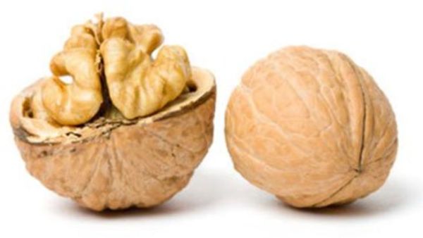 ثمار الجوز 