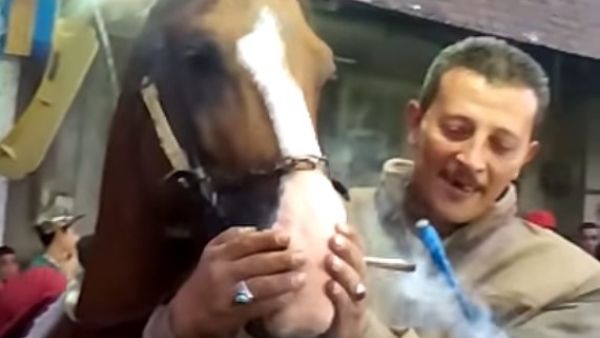 (Youtube Screengrab)