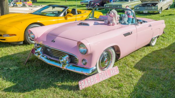 Barbie car (Shutterstock/File Photo)