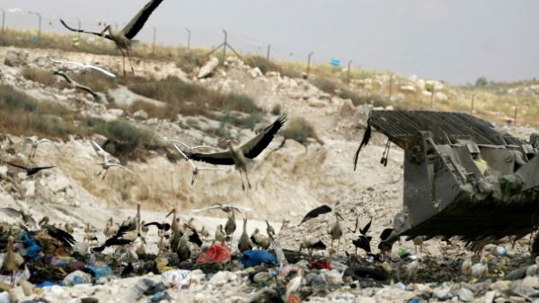 ما زالت قضية العسكريين مجهولة المصير رغم كل الجهود 