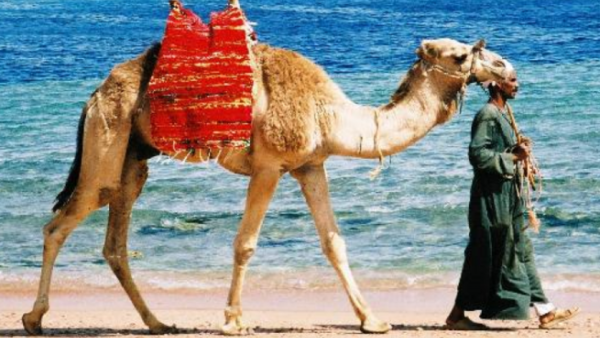 The World Islamic Travel Summit will focus on the theme of  "driving the Halal tourism revolution" (File Archive/ AFP).