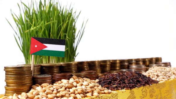 on Friday that the Cabinet's decision to exempt and reduce the sales tax on a number of food items and the agricultural sector, went into effect. (Shutterstock)