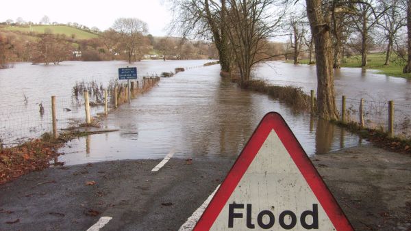 This picture is not from Amman today, either (Flickr)