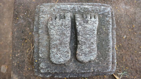 (Shutterstock/ File Photo)