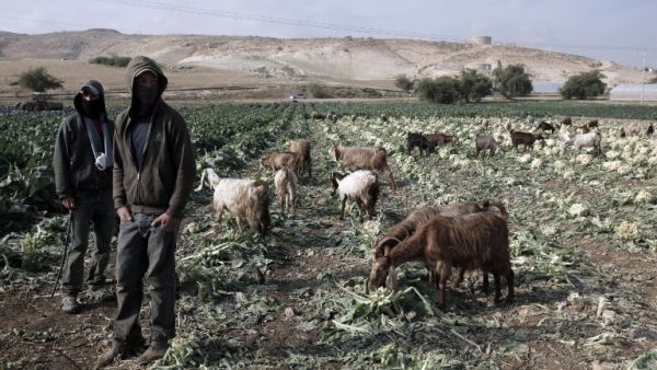 أهالي جالود أقاموا دعوى قضائية لدى المحكمة العليا الإسرائيلية 