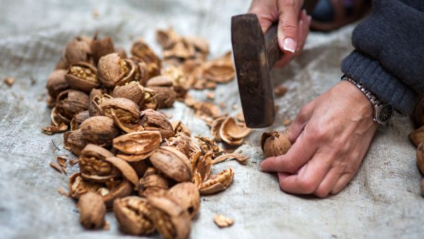 (Shutterstock/ File Photo)