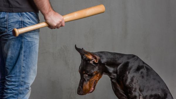 (Shutterstock/ File Photo)