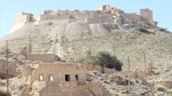 الشوبك