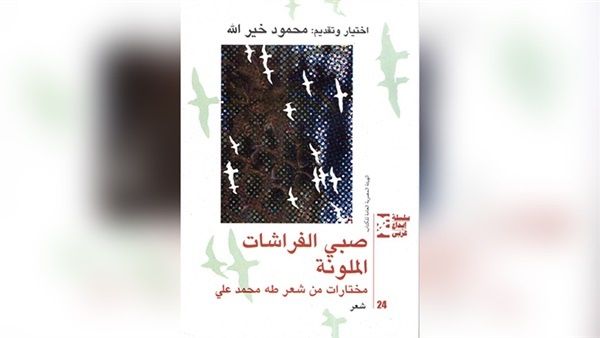 كتاب "صبي الفراشات الملونة"