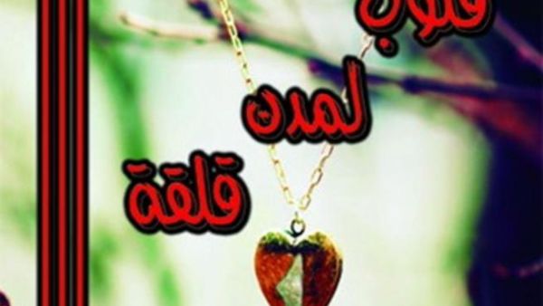 قلوب لمدن قلقة للأديبة دينـا سليم