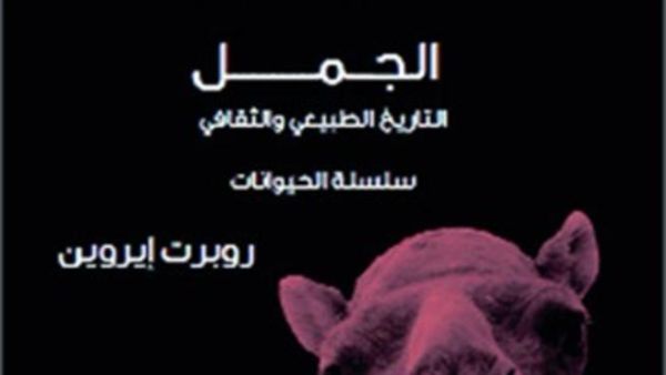 غلاف الكتاب 