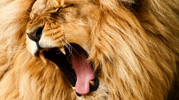 (Shutterstock/File Photo)