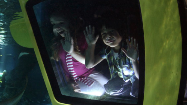 The popularity of the new Dubai Parks and Resorts theme parks is picking up. The popularity of the new Dubai Parks and Resorts theme parks is picking up.