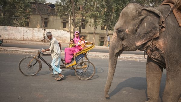 (Shutterstock/ File Photo)