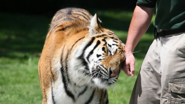 (Shutterstock/ File Photo)