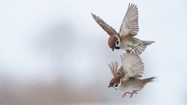 (Shutterstock/ File Photo)